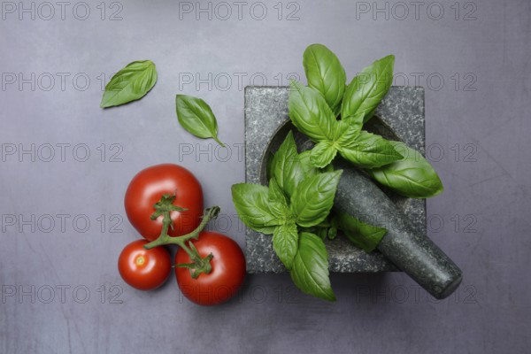Basil in mortar and tomato, Ocimum basilicum, Solanum lycopersicum