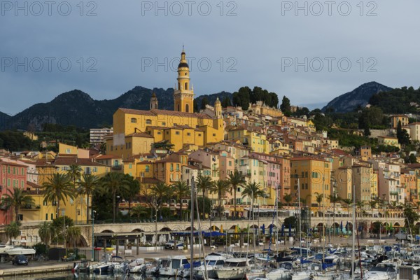 Town with colourful houses by the sea, sunrise, Menton, Alpes Maritimes, Provence Alpes Cote d'Azur, French Riviera, South of France, France