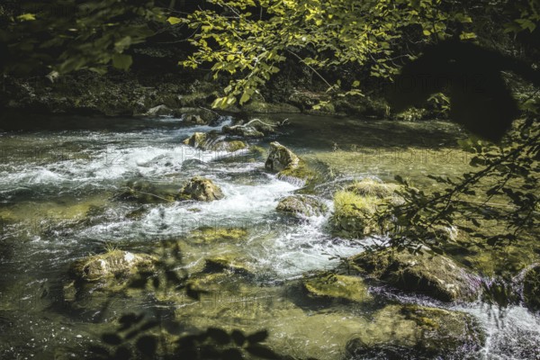 Mangfall near Bruckmühl, district of Miesbach, Upper Bavaria, Bavaria, Germany
