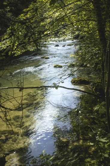 Mangfall near Bruckmühl, district of Miesbach, Upper Bavaria, Bavaria, Germany