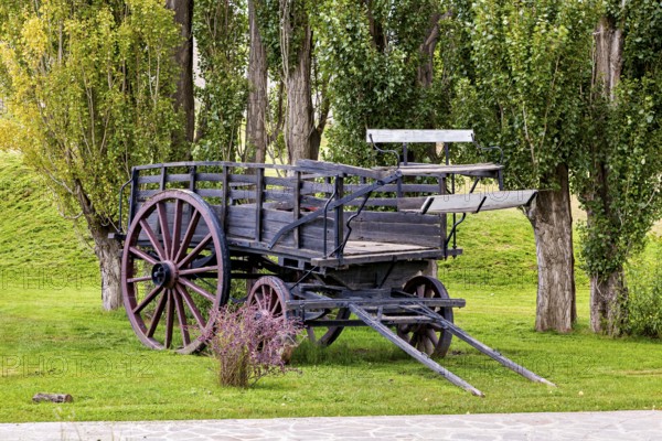 Old wooden wagon nestled between tall trees in green surroundings, historic horse-drawn wagon or carriage with wagon wheels in Patagonia