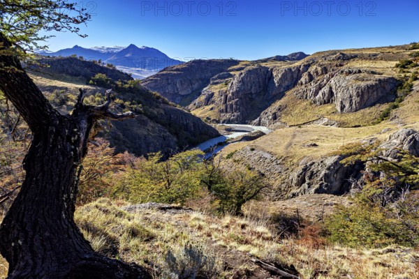 Deep gorge with a river surrounded by steep cliffs and solitary trees, the Patagonian landscape near El Chalten in Argentina