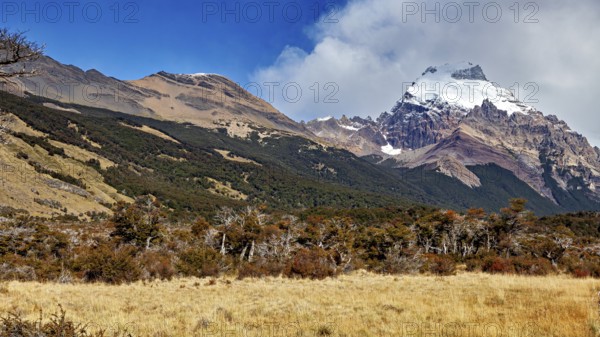 Mountain landscape, snow-covered peaks with wooded slopes and exposed rocks under a blue sky, The landscape of Patagonia near El Chalten in Argentina