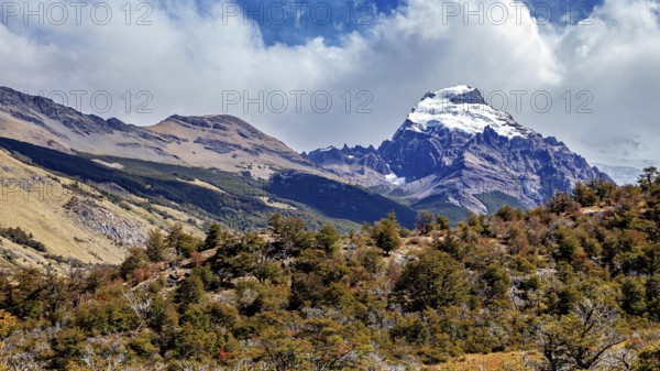 Snow-covered mountain above lush forest under a blue sky, The landscape of Patagonia in Argentina