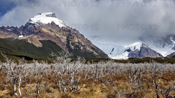 Mountain landscape with snow-covered peaks and a cloud cover over thorny bushes, The Patagonian landscape near El Chalten in Argentina