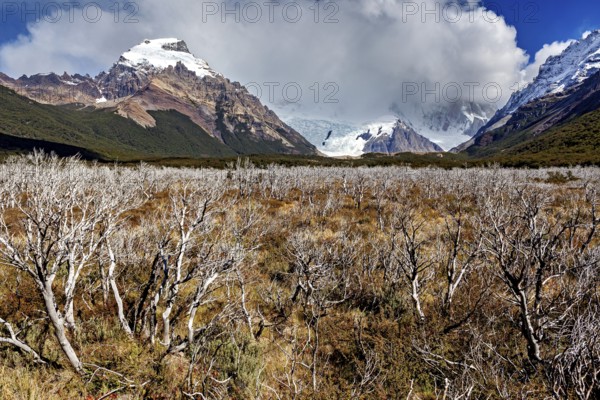 View of snow-capped mountains under dramatic clouds over a wild plain with shrubs, The Patagonian landscape near El Chalten in Argentina