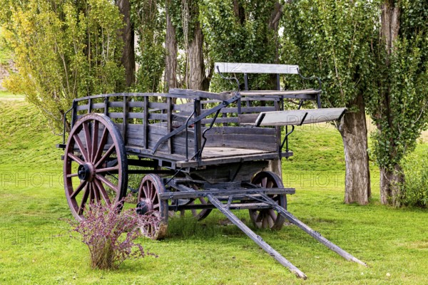 An old wooden wagon with flowers in the foreground under trees, Historic horse-drawn wagon or carriage with wagon wheels in Patagonia