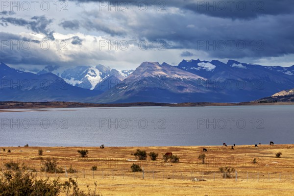 The peaceful, wide lake surrounded by mountains under a dramatic sky, The Patagonian landscape near El Chalten in Argentina