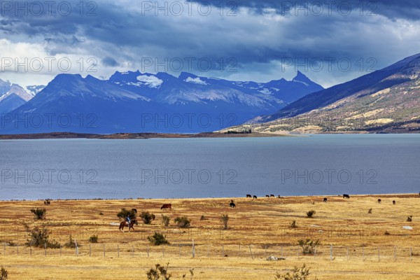 A vast landscape with a lake and distant mountains under a cloudy sky, The Patagonian landscape near El Chalten in Argentina