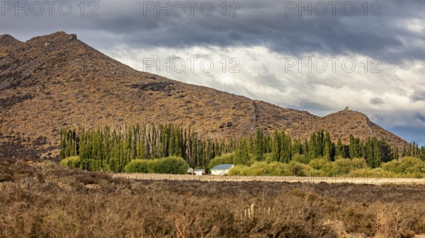 Hilly landscape with trees and clouds adding to the dramatic atmosphere, The Patagonian landscape near El Chalten in Argentina