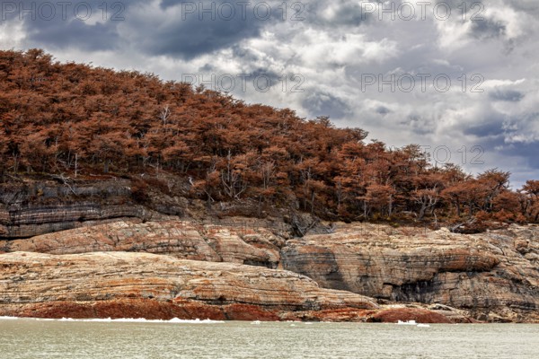 Dense trees on a hill on a rocky coast under a cloudy sky, The landscape of Patagonia in Argentina
