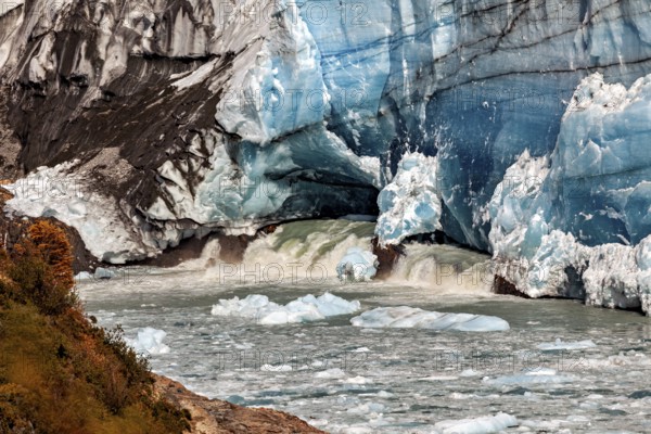 Meltwater flows out from under a massive blue glacier wall, The Perito Moreno glacier in Argentina