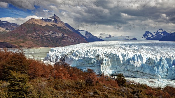 Imposing glacier front in a majestic mountain landscape with autumnal trees and dramatic skies, The Perito Moreno glacier in Argentina