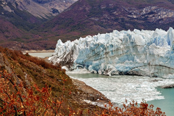 Colourful autumn landscape with glacier front in front of a mountain, The Perito Moreno glacier in Argentina
