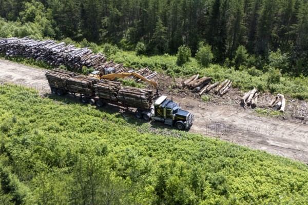 Tractor loading timber on a heavy hauler, Region of La Mauricie, Province of Quebec, Canada, North America