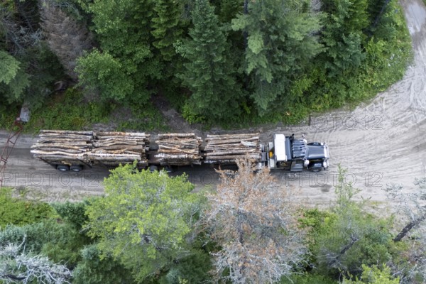 Heavy hauler transporting timber, Region of La Mauricie, Province of Quebec, Canada, North America