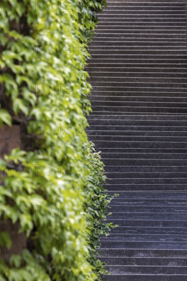 Singing relay at the Schützenplatz in Stuttgart. It is estimated that there are up to 400 Stäffele in Stuttgart. The steps are a shortcut between the half-heights and the city centre. They are also popular as a lookout point or meeting place. The Stäffele are considered one of the landmarks of the state capital. Stuttgart, Baden-Württemberg, Germany