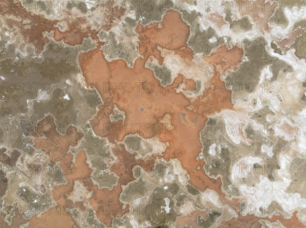 Salt marsh at the Skeleton Coast. Aerial view. Drone shot. Dorob National Park, Namibia