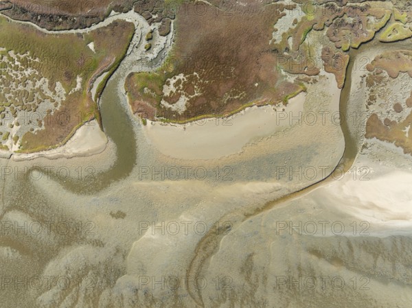 Marshes and streams at low tide in the Walvis Bay Lagoon. Aerial view. Drone shot. Namibia