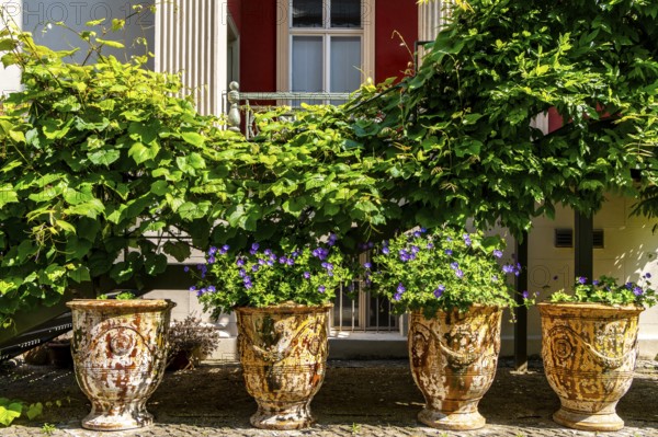 Decorative courtyard area in the Palais am Stadhaus, Potsdam, Brandenburg, Germany