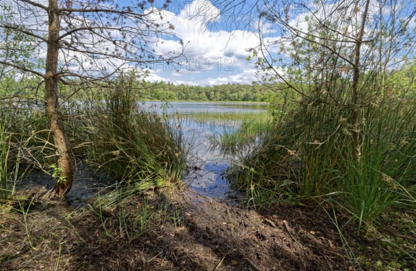 The Bullensee is located in a moorland area and is part of the Bullensee and Hemelsmoor nature reserve near the town of Zeven in the district of Rotenburg (Wümme) in Lower Saxony. The lake is also a local recreation area in the Bremen and Rotenburg/Wümme region. Bülstedt, Rotenburg, Lower Saxony, Germany