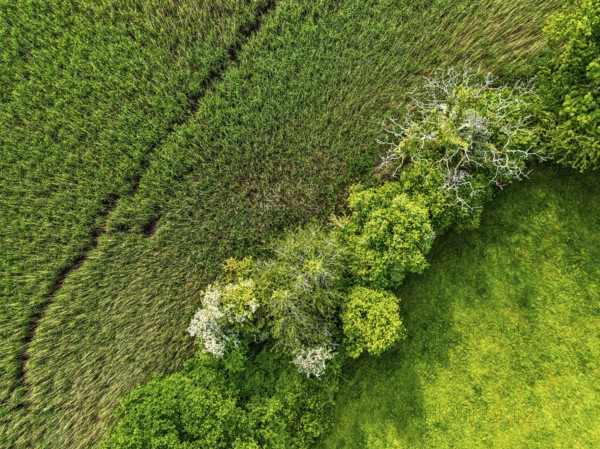 Top Down over Marshes over River Dart from a drone, Stoke Gabriel, Totnes, Devon, England, United Kingdom