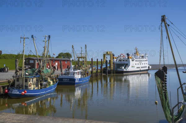 Fishing boats in the harbour of Tammensiel, Pellworm Island, North Frisia, North Sea, North Frisia, Schleswig-Holstein, Germany