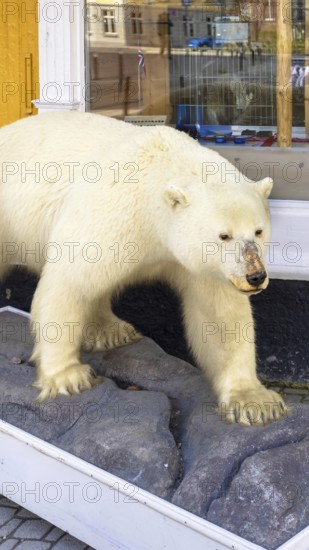 Norway, Tromso, famous tourist travel destination known for northern lights aurora borealis viewing