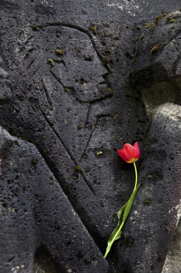 Bittermark memorial, memorial site, detail with tulip for the memorial service on Good Friday, artist Karel Niestrath, Dortmund, Germany
