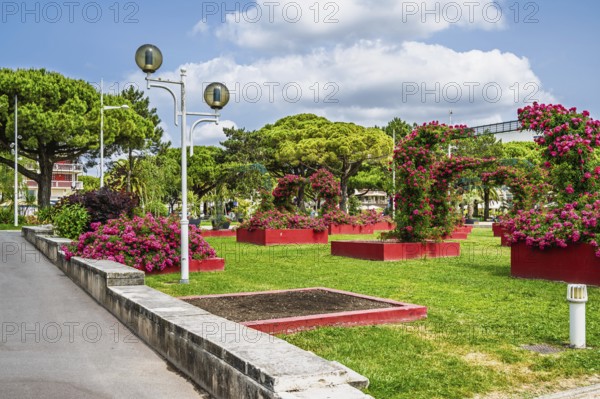 Royan, Nouvelle-Aquitaine, Charente-Maritime, France