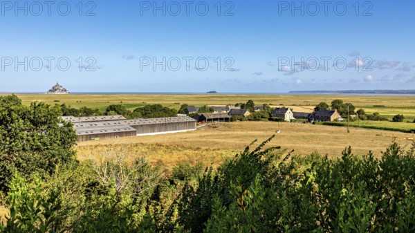 Landscape with a farm near the coast, blue sky and scattered clouds, Mont Saint Michel in Normandy, France