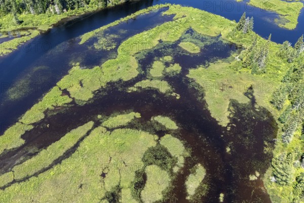 Lake and islands with vegetation, Boreal forest, Mastigouche wildlife reserve, Region of La Mauricie, Province of Quebec, Canada