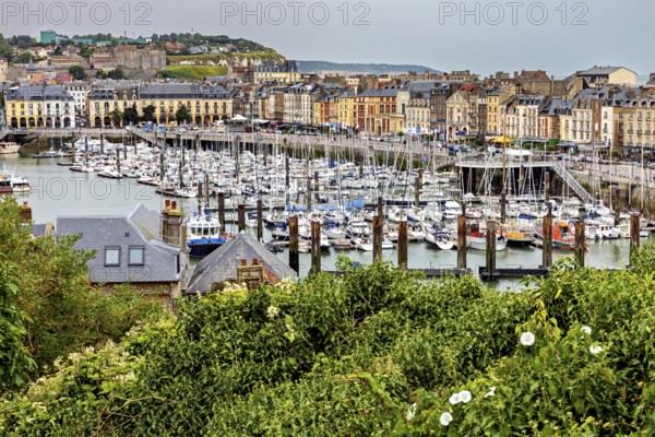 Harbour with numerous boats, surrounding city buildings and green vegetation in the foreground, The harbour of Dieppe in Normandy, France
