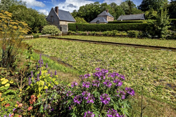 Lush flower bed in front of a charming brick house in a summery, rural setting, The historic mill village of Veules Les Roses in Normandy, France