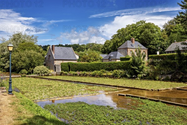 Sprawling fields with brick houses under a blue sky, surrounded by green nature, the historic mill village of Veules Les Roses in Normandy, France