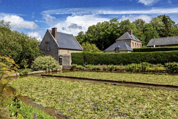 Wine-growing area with brick houses in front of a bright blue sky with white clouds, The historic mill village of Veules Les Roses in Normandy, France