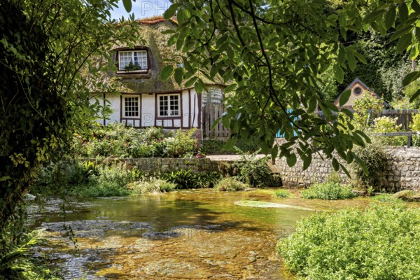 Half-timbered house by a stream, surrounded by dense, green vegetation and a quiet village charm, The historic mill village of Veules Les Roses in Normandy, France