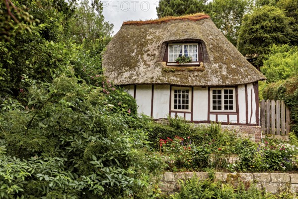 Thatched half-timbered house surrounded by dense vegetation in a rural setting, the historic mill village of Veules Les Roses in Normandy, France