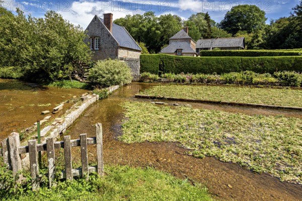 Rural scene with brick house and moat, surrounded by lush vegetation in summer, The historic mill village of Veules Les Roses in Normandy, France
