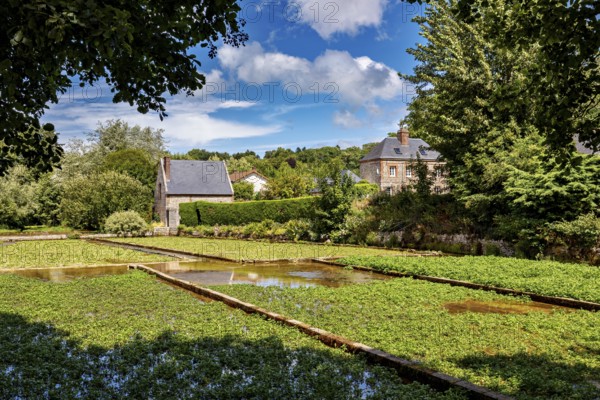 A sprawling green garden with water features and a house on the horizon under a blue sky, the historic mill village of Veules Les Roses in Normandy, France