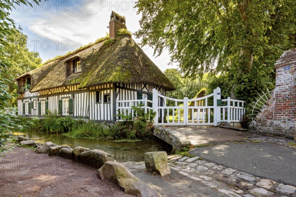 A charming half-timbered house with a thatched roof and bridge, nestled in a green, idyllic landscape, the historic mill village of Veules Les Roses in Normandy, France