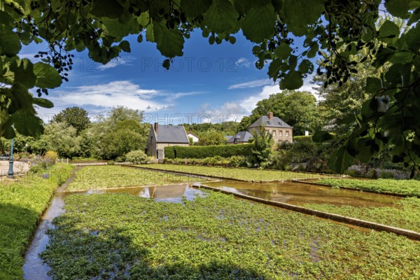 Green fields and brick houses under a clear sky with fleecy clouds, radiating rural tranquillity, the historic mill village of Veules Les Roses in Normandy, France