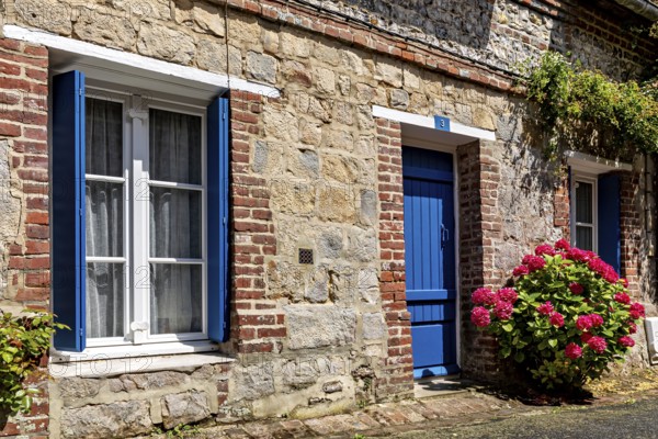 Stone house with blue shutters and door, flanked by hydrangeas under a bright summer sun, The historic mill village of Veules Les Roses in Normandy, France