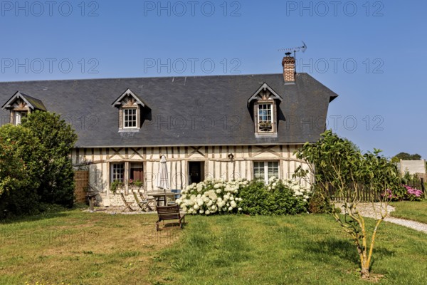 A half-timbered house with a white flowering bush and wooden bench on a well-tended lawn under a blue sky, Historic houses in Normandy, France