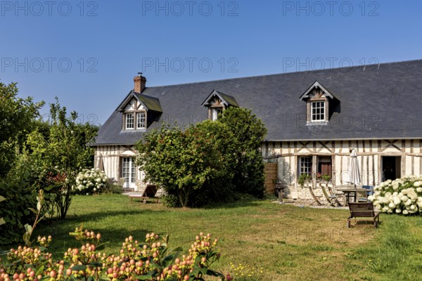 Cosy half-timbered house with flowering shrubs and green meadow under a clear sky, Historic houses in Normandy in France