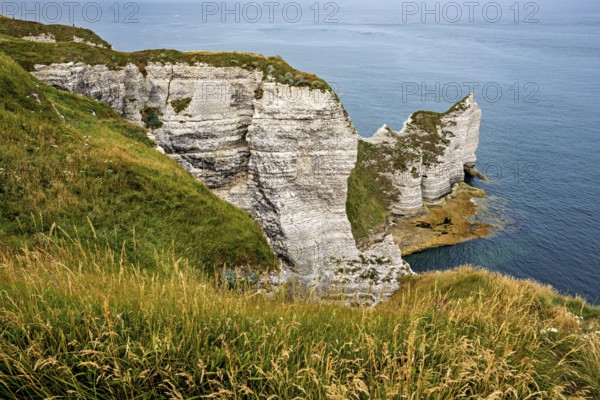 Rugged coastal terrain with impressive white cliffs and grass, The cliffs and alabaster coast of Etretat in Normandy France