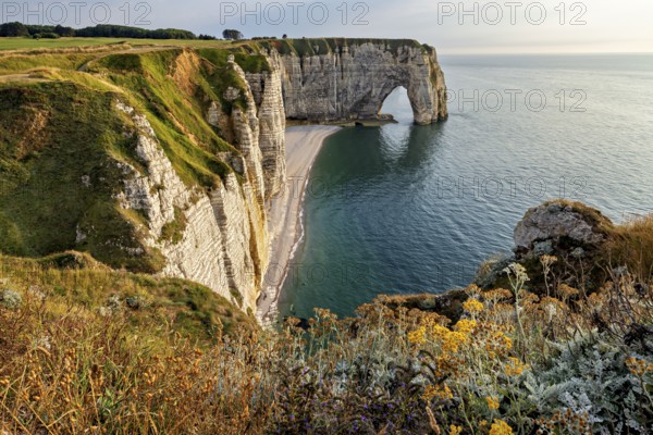 High cliffs with an impressive rock arch, surrounded by green vegetation, The cliffs and alabaster coast of Etretat in Normandy France