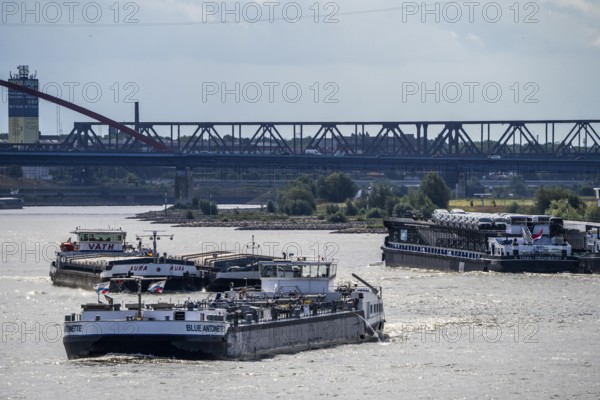 Cargo ships on the Rhine, in the background the Rhine bridge near Duisburg-Rheinhausen, Bridge of Solidarity, Duisburg, North Rhine-Westphalia, Germany