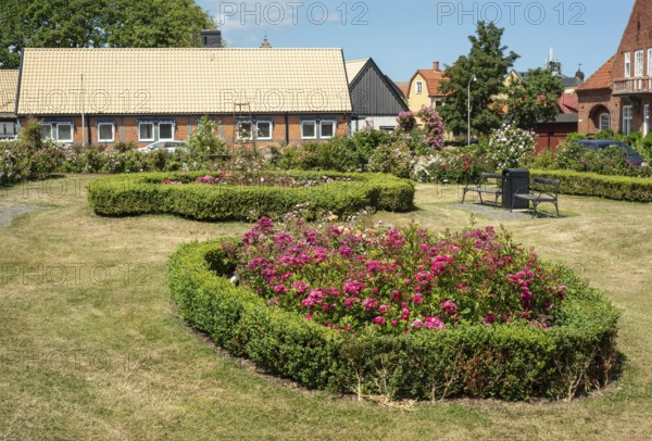 Rose Square in Simrishamn, Skåne County, Sweden, Scandinavia