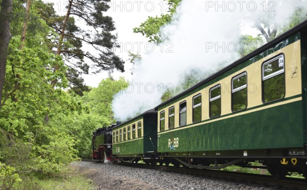 The Raging Roland, narrow-gauge railway, on Rügen, Mecklenburg-Vorpommern, Germany